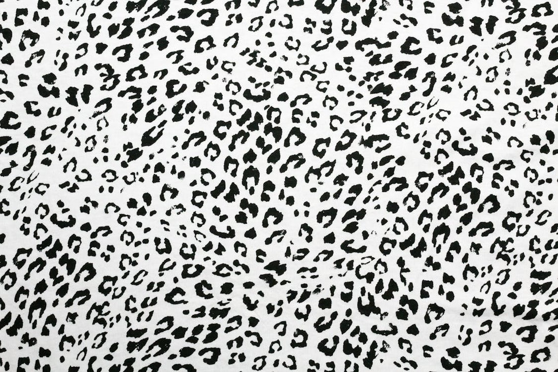 Dalmatian Print: Why This Bold Pattern Is 2026's Hottest Animal Print