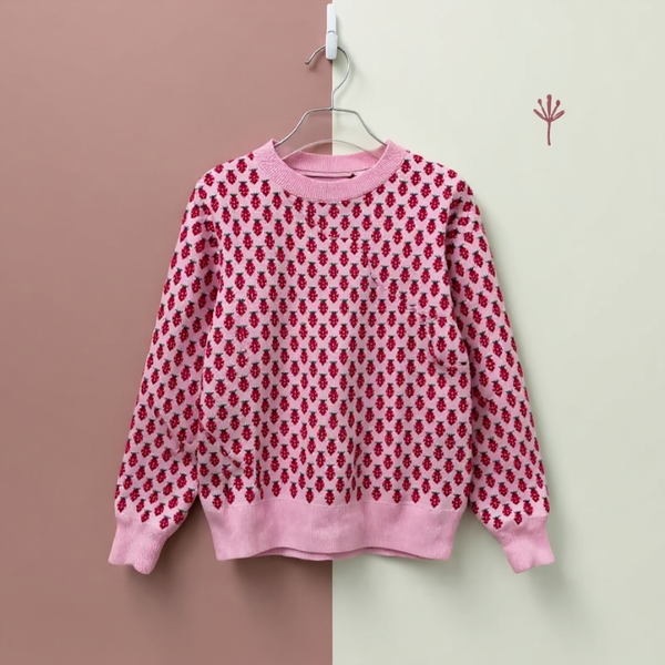 Kiki Strawberry Sweater
