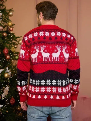 Family Christmas Sweaters
