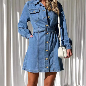 Stella Denim Dress