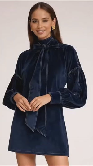 Amélie Velvet Dress